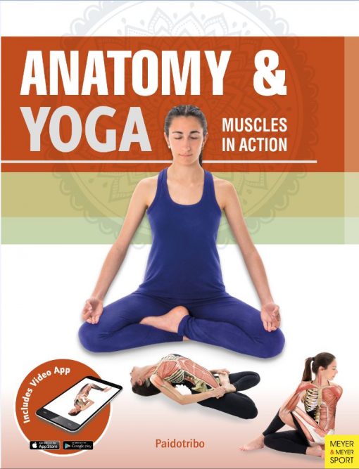 Anatomy And Yoga Cardinal Publishers Group